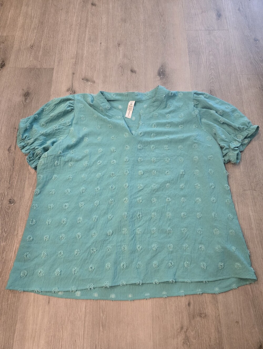 B Swiss Dot Chiffon Puff Sleeve V Neck Blouse Sz XXL